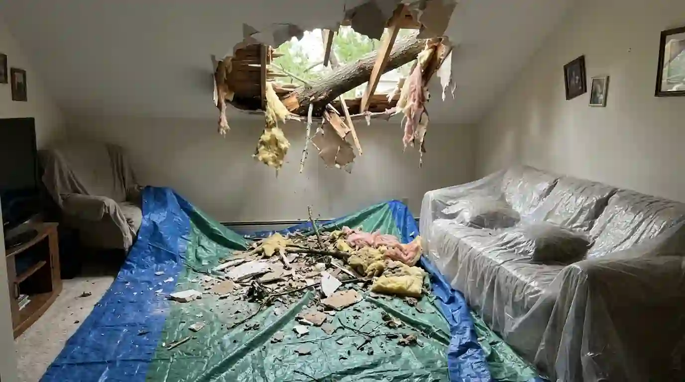 Ceiling hole left by a branch in a living room